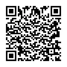 QR Code pour le numéro de téléphone +2693832850