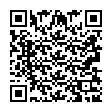 QR-код для номера телефона +2693832905