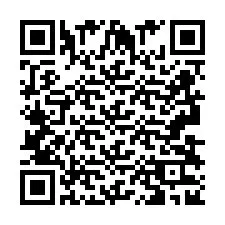 QR код за телефонен номер +2693832935