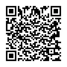 QR Code pour le numéro de téléphone +2693833002