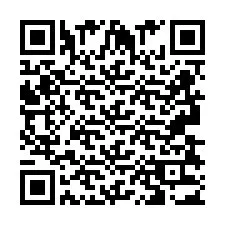 QR Code pour le numéro de téléphone +2693833013