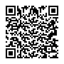 QR код за телефонен номер +2693833065