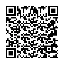 QR-Code für Telefonnummer +2693833084