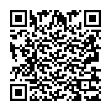 QR Code pour le numéro de téléphone +2693833100