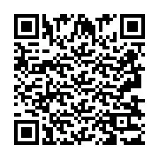 QR Code pour le numéro de téléphone +2693833130