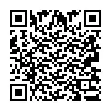 QR-Code für Telefonnummer +2693833313