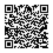 Codice QR per il numero di telefono +2693833771