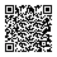 QR Code pour le numéro de téléphone +2693833809