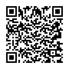 Codice QR per il numero di telefono +2693833810