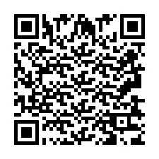 QR код за телефонен номер +2693833811