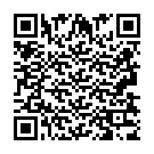 QR-koodi puhelinnumerolle +2693833815