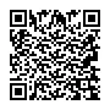 QR Code for Phone number +2693834047