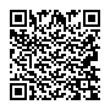 Codice QR per il numero di telefono +2693834077