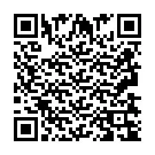 QR-code voor telefoonnummer +2693834111