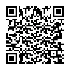 Kod QR dla numeru telefonu +2693834134