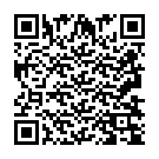 Codice QR per il numero di telefono +2693834531