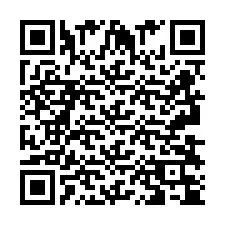 QR код за телефонен номер +2693834534