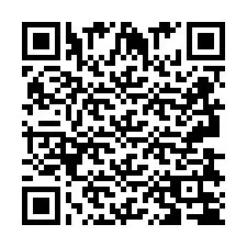 QR Code pour le numéro de téléphone +2693834744