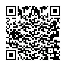 QR Code pour le numéro de téléphone +2693834745