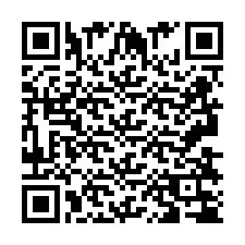 Codice QR per il numero di telefono +2693834761