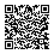 QR код за телефонен номер +2693834820