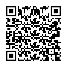 QR-Code für Telefonnummer +2693834848