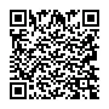 Codice QR per il numero di telefono +2693834862