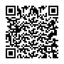 Codice QR per il numero di telefono +2693834885