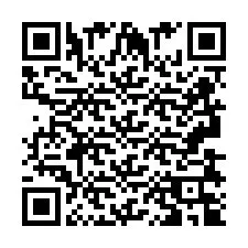 Codice QR per il numero di telefono +2693834905