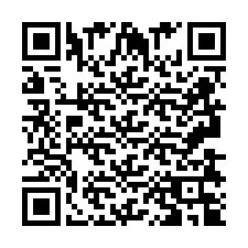 QR код за телефонен номер +2693834911