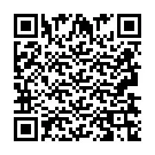 QR Code pour le numéro de téléphone +2693836845