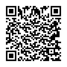 QR-код для номера телефона +2693837113