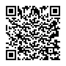 QR-код для номера телефона +2693837120