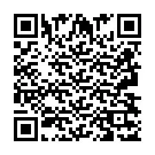 QR-код для номера телефона +2693837128