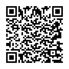 QR Code pour le numéro de téléphone +2693837300