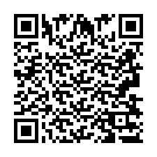 QR код за телефонен номер +2693837325