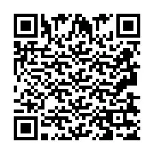 QR код за телефонен номер +2693837541