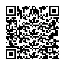 QR-код для номера телефона +2693837593