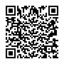 QR Code pour le numéro de téléphone +2693837800