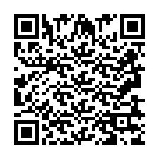 Kod QR dla numeru telefonu +2693837801