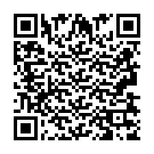 QR-код для номера телефона +2693837805