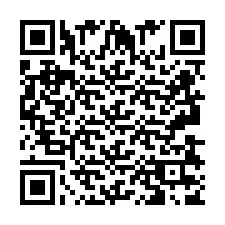 QR-code voor telefoonnummer +2693837810