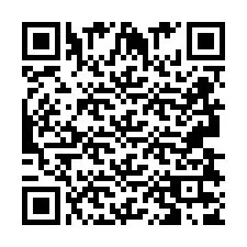 QR код за телефонен номер +2693837813