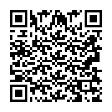 QR-Code für Telefonnummer +2693837815