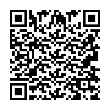 QR код за телефонен номер +2693837867