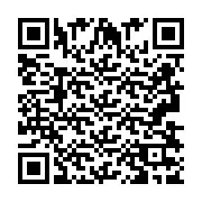 QR-код для номера телефона +2693837925