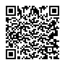 QR код за телефонен номер +2693837933