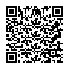 QR код за телефонен номер +2693837941