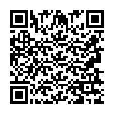 QR Code pour le numéro de téléphone +2693837953