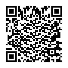 QR код за телефонен номер +2693837987